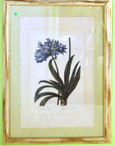 Blue Flowers Botanical Print